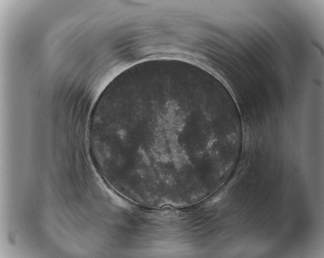 X0000102801533200809081101