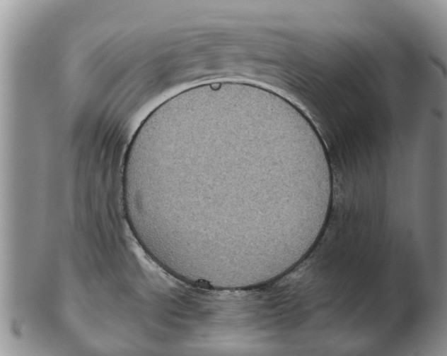 X0000102801534200809081101