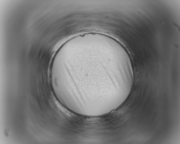 X0000102801535200809081101