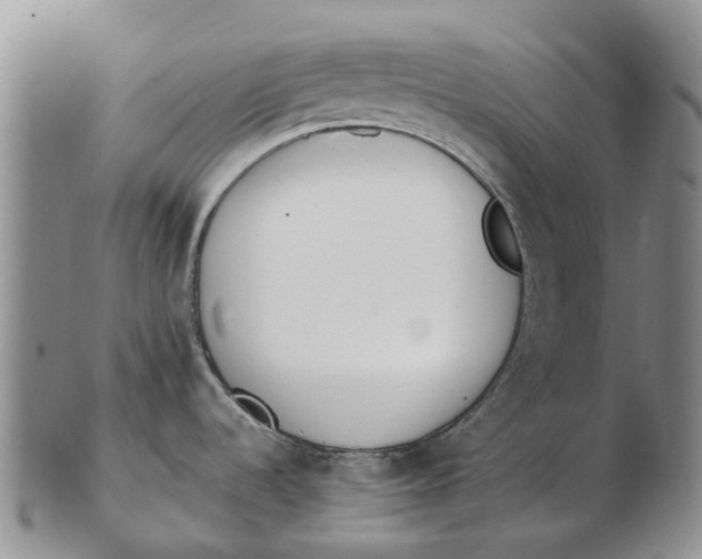 X0000102801536200809081101