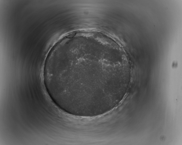 X0000102800002200809150939