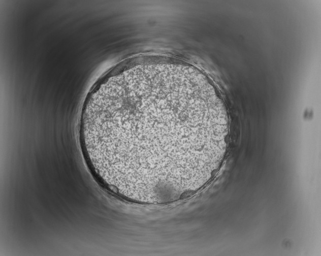 X0000102800003200809150939