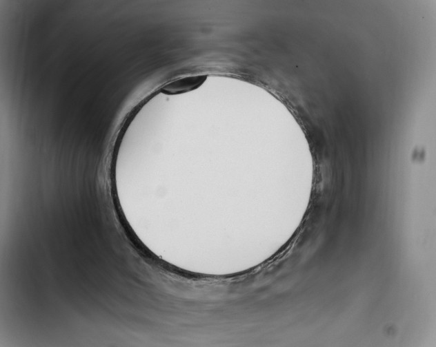 X0000102800004200809150939