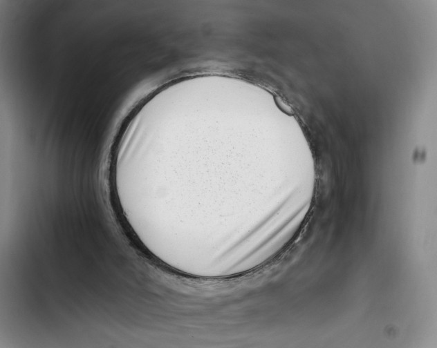 X0000102800006200809150939