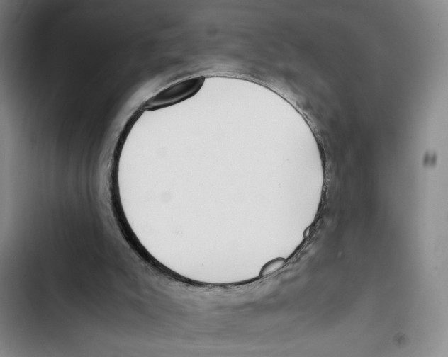 X0000102800007200809150939