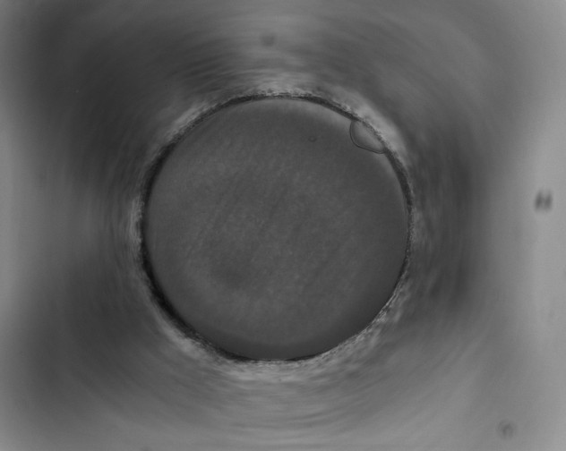 X0000102800009200809150939