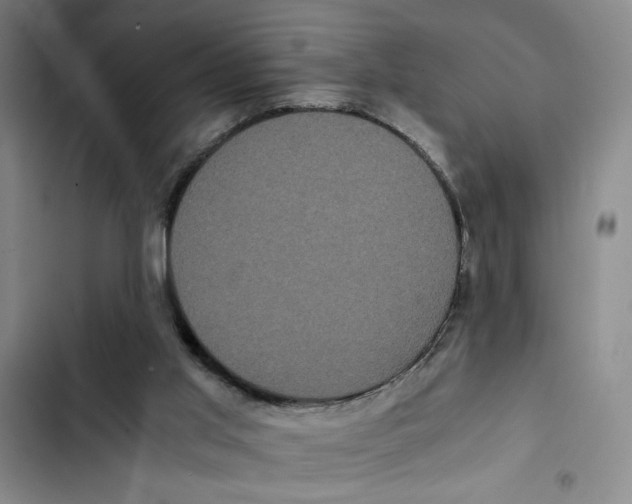 X0000102800013200809150939