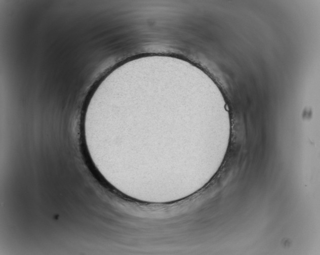 X0000102800015200809150939