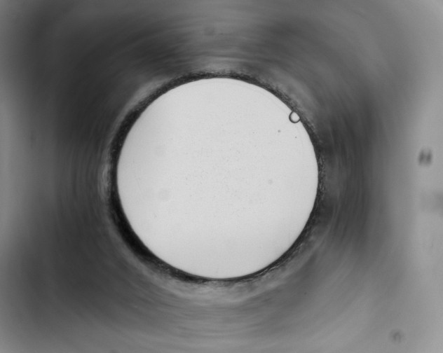 X0000102800016200809150939