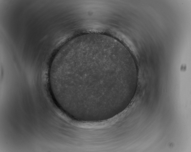 X0000102800017200809150939