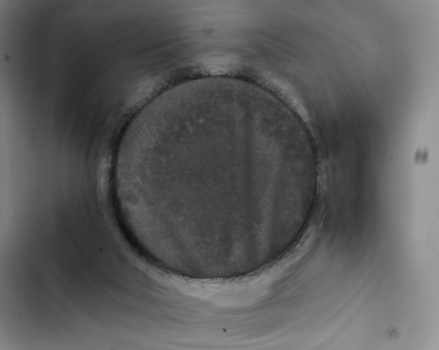 X0000102800018200809150939