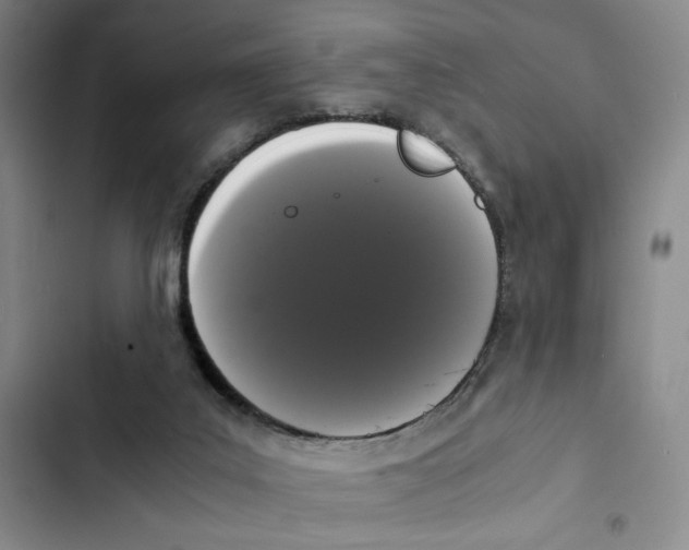 X0000102800019200809150939