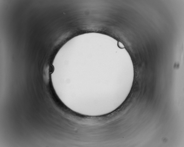 X0000102800020200809150939