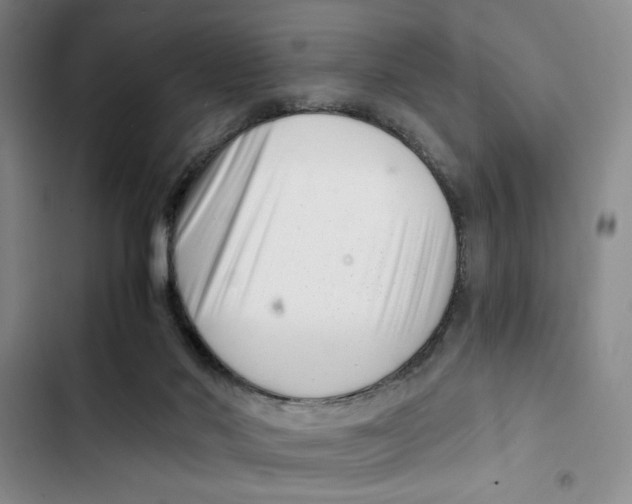 X0000102800022200809150939