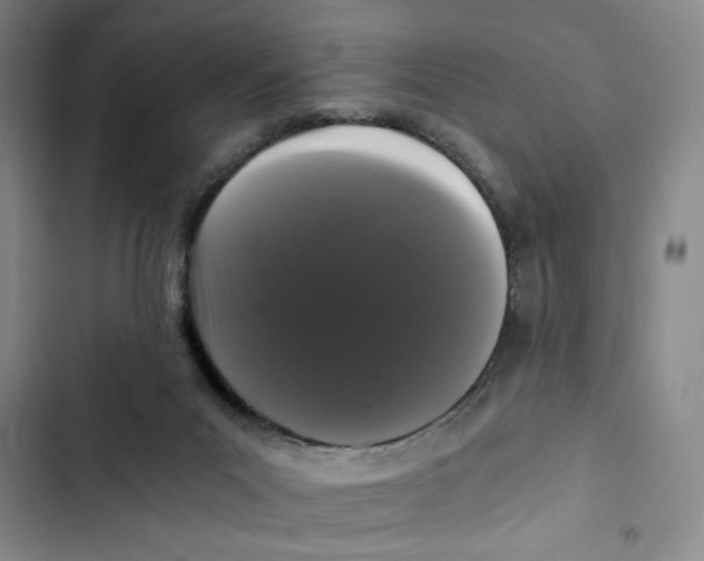 X0000102800023200809150939