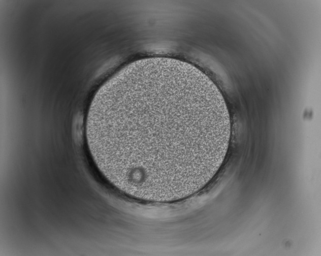 X0000102800024200809150939