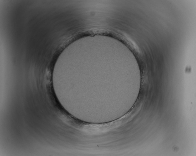 X0000102800025200809150939