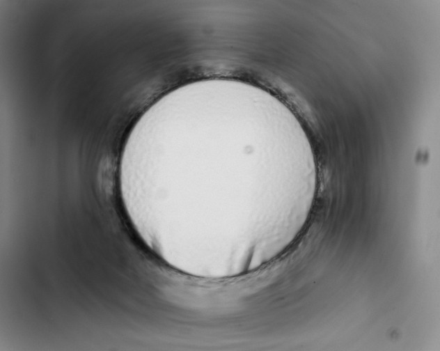 X0000102800026200809150939