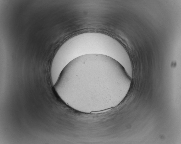 X0000102800029200809150939