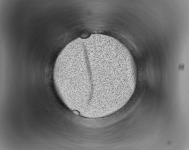 X0000102800030200809150939