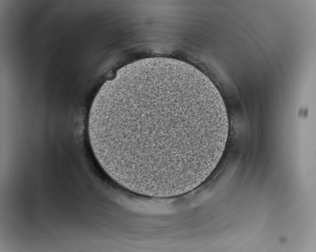 X0000102800032200809150939