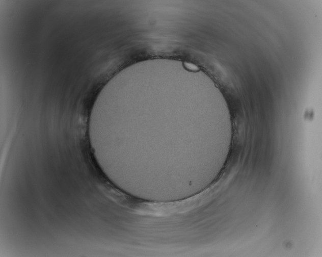 X0000102800033200809150939