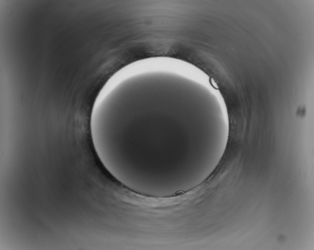 X0000102800035200809150939