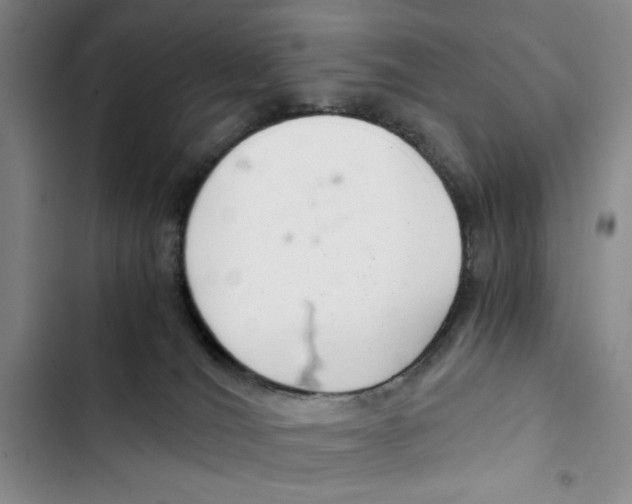 X0000102800036200809150939