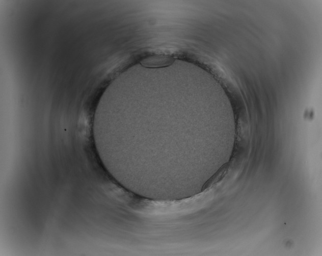 X0000102800037200809150939