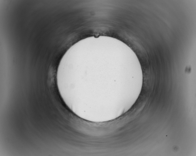 X0000102800038200809150939