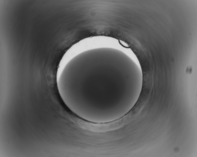 X0000102800039200809150939