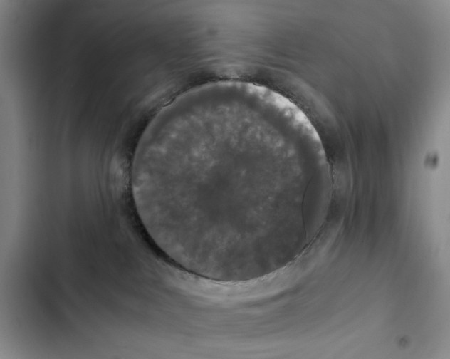 X0000102800043200809150939