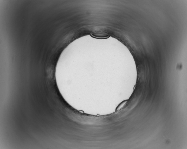 X0000102800044200809150939