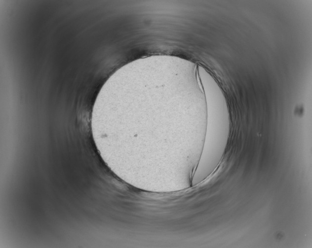 X0000102800045200809150939