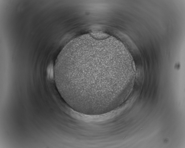 X0000102800046200809150939