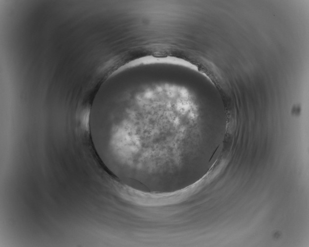 X0000102800047200809150939