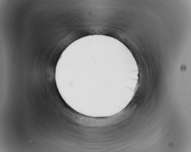 X0000102800048200809150939