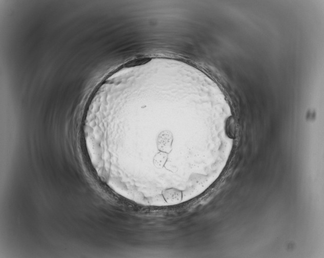 X0000102800049200809150938