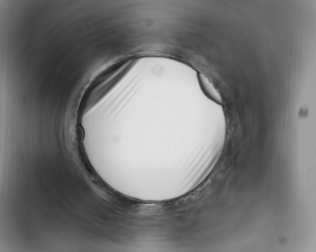 X0000102800050200809150938