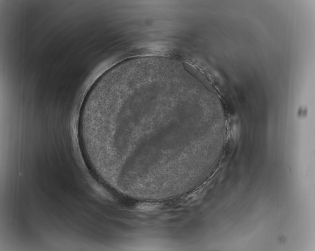 X0000102800051200809150938