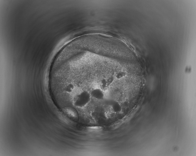 X0000102800053200809150938