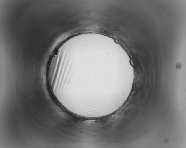 X0000102800054200809150938