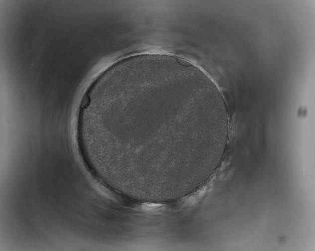 X0000102800055200809150938