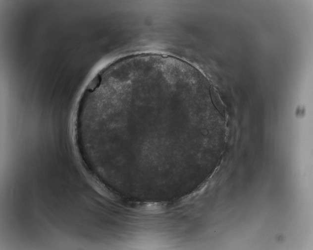 X0000102800056200809150938