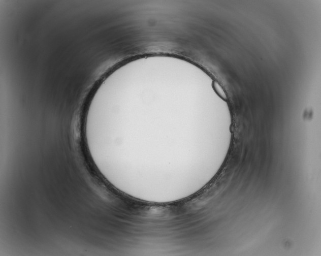 X0000102800060200809150938