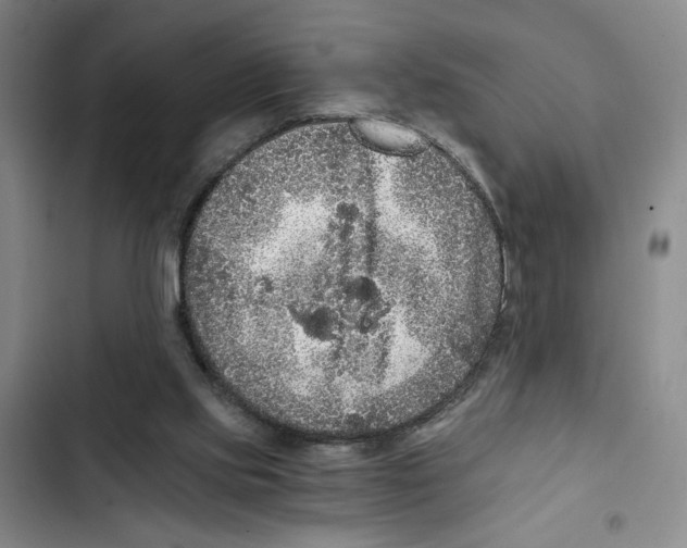 X0000102800061200809150938