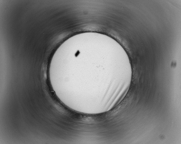 X0000102800062200809150938