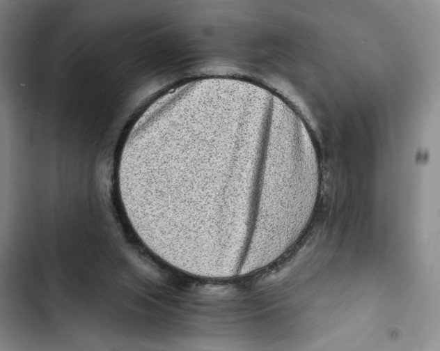 X0000102800063200809150938