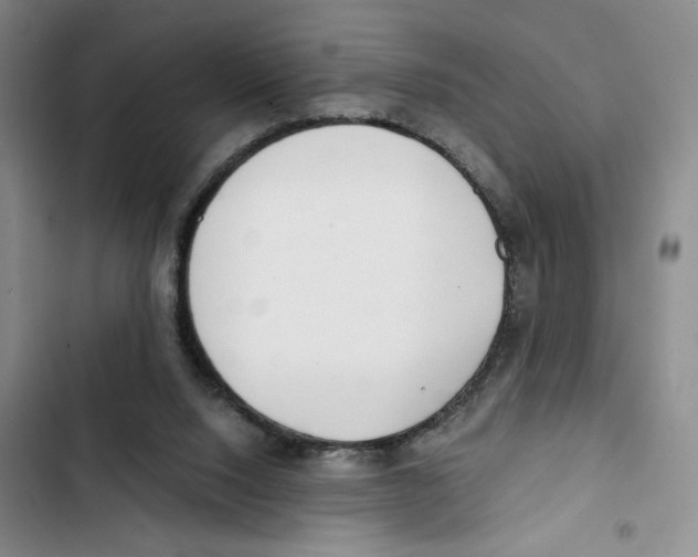 X0000102800064200809150938