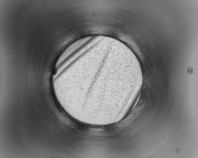 X0000102800066200809150938